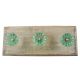 Mint Paneled Sides Glass Wooden Hooks